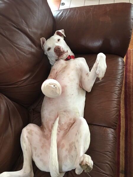 Oscar