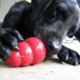 Entry image for King Kong