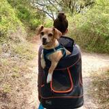 Entry image for Murray