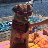 Entry image for Marilyn