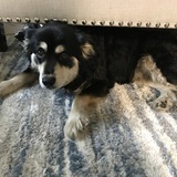 Entry image for Abby