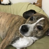 Entry image for Hunter