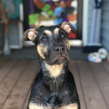 Entry image for Nahla