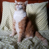 Entry image for Squirt