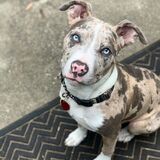 Entry image for Nero