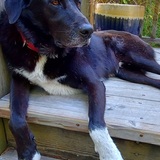 Entry image for Jackson