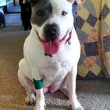 Entry image for Ashley