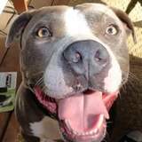 Entry image for Diablo