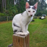 Entry image for Bjorn