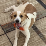 Entry image for Winston