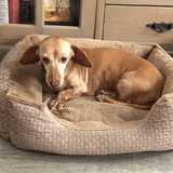 Entry image for Pinky