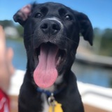 Entry image for Hudson