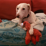 Entry image for Salem