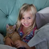 Entry image for Bear