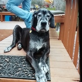 Entry image for Sakima