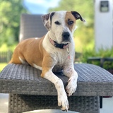 Entry image for Savie