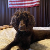 Entry image for Billy