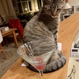 Entry image for Dora