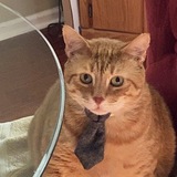 Entry image for Fat Randy