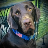 Entry image for Duke 