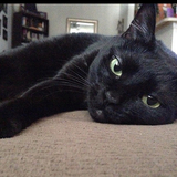 Entry image for Miller 