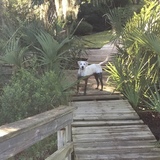 Entry image for Hampton