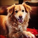 Entry image for Penny