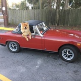 Entry image for Reagan