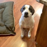 Entry image for Lennie