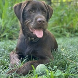 Entry image for Tucker