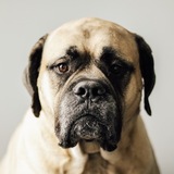 Entry image for Chloe