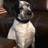 Entry image for Jeter