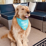 Entry image for Hudson