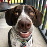 Entry image for Bogard