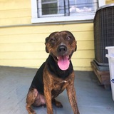 Entry image for (Johnny) Cash