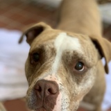 Entry image for Keller