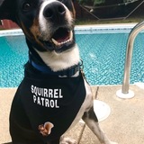 Entry image for Cooper