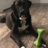 Entry image for Cayman