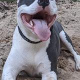 Entry image for Lumi