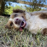 Entry image for Petra