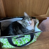 Entry image for Blue