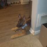 Entry image for Kane