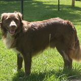 Entry image for Blaze