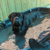 Entry image for Tesla