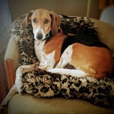 Entry image for Chloe