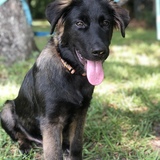 Entry image for Nick