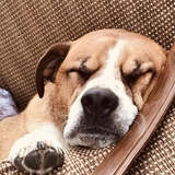 Entry image for Brice