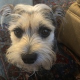 Entry image for Just Sam