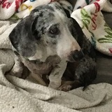 Entry image for Walter