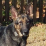 Entry image for Klara